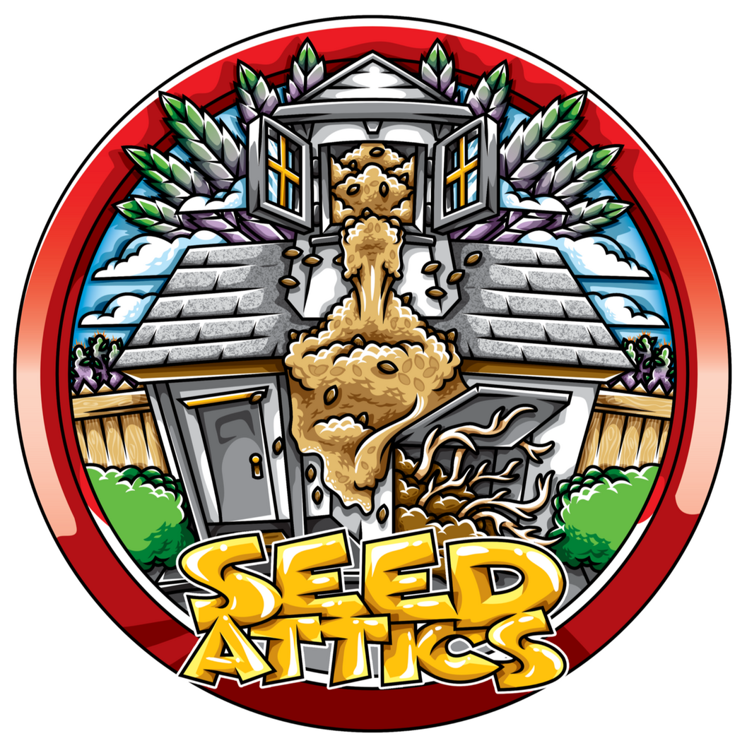 Seed Attics